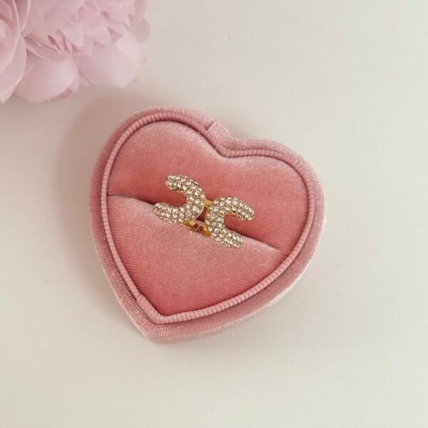 Paperclip titanium steel ringPaperclip titanium steel ring